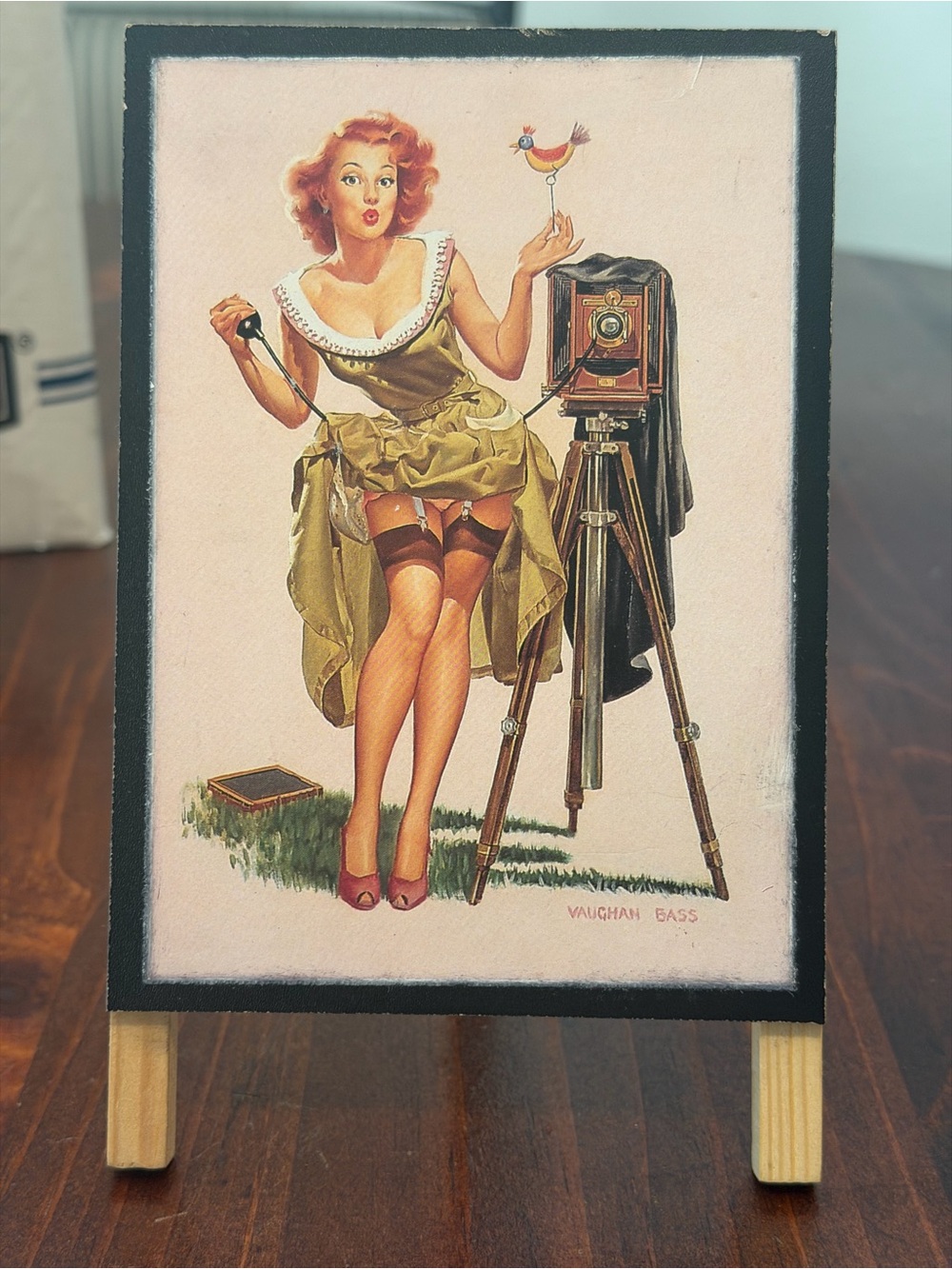 Vintage Vaughan Bass “Watch the Birdie” Pin Up Girl Small Framed Print Easel